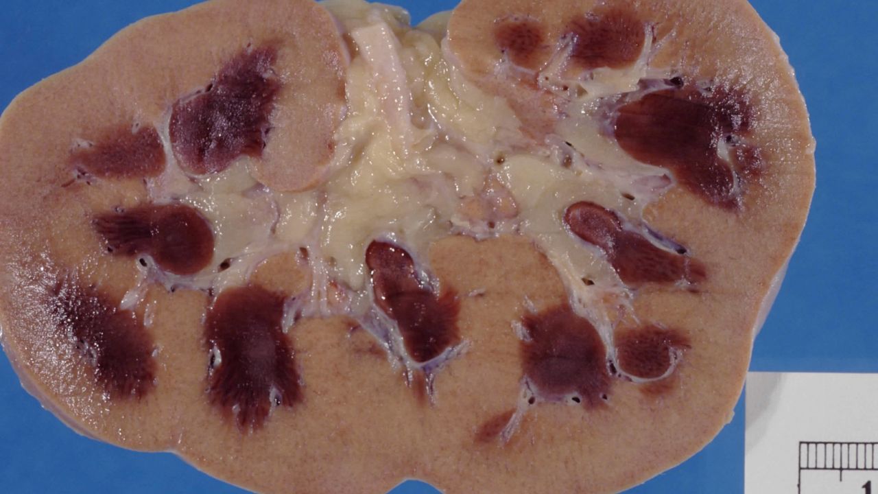 Georgina Rodríguez en un photocall