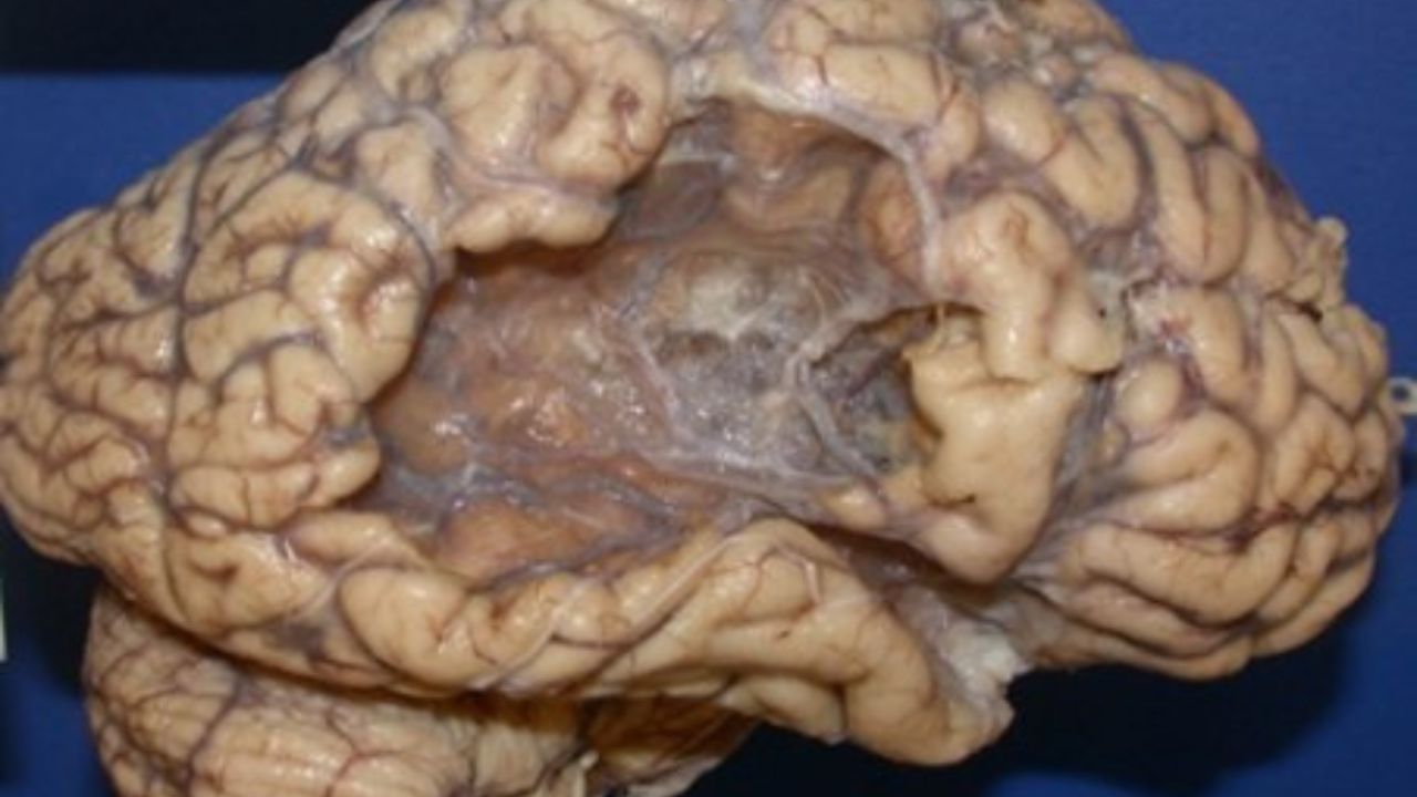 Georgina Rodríguez en un photocall